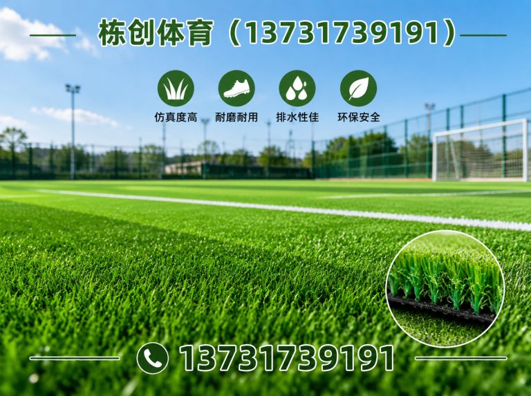 河北沧州经济开发区硅PU球场展示图